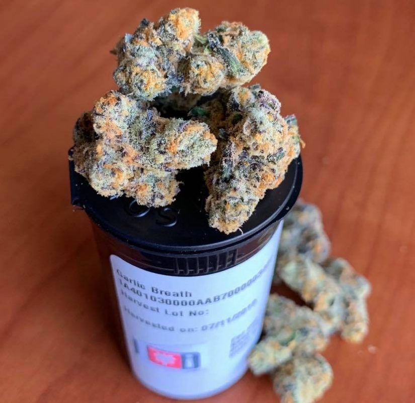 73230964 2709023579137303 5836861062070140928 n The Weed Blog - Cannabis News, Strain Reviews & More