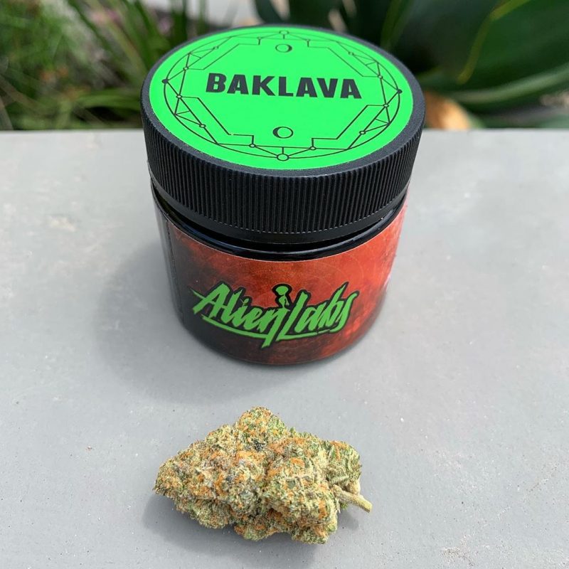 a272567da5259f7de81447aada6bed1c The Weed Blog - Cannabis News, Strain Reviews & More
