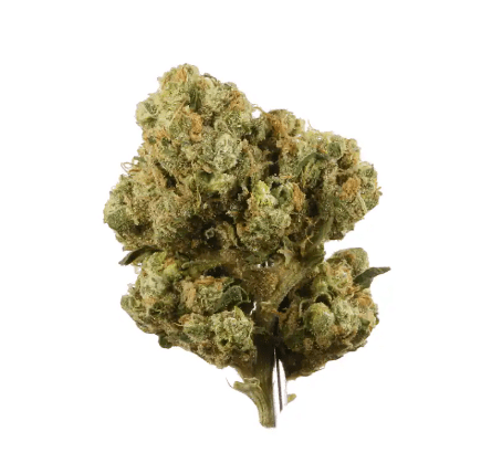 image 2 The Weed Blog - Cannabis News, Strain Reviews & More