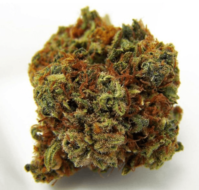 Cannabis-Strain-CBD