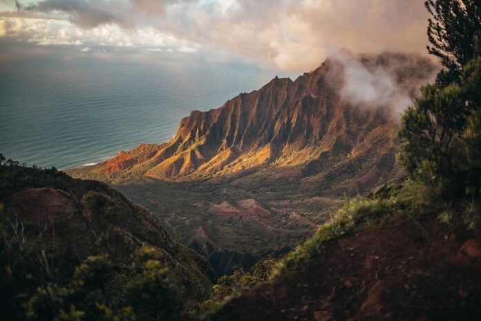 Cannabis-Hawaii